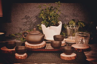 青春答卷2014——畢業(yè)設計《禪夢》 原創(chuàng)品牌衍生產品圖書出租計劃